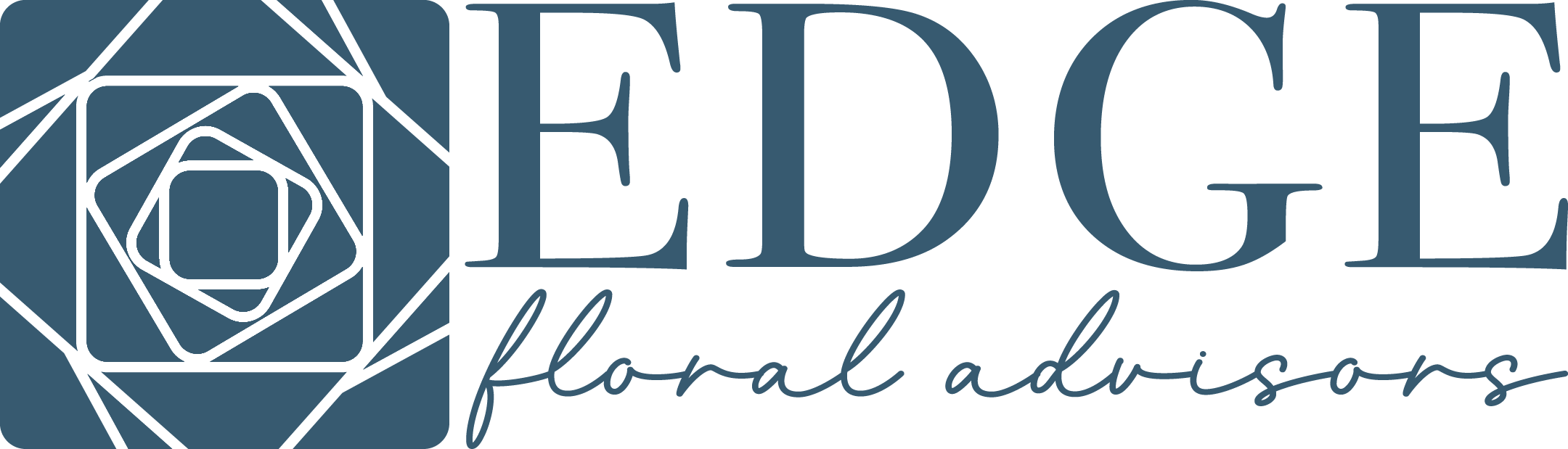 EFA Logo Horizontal Blue