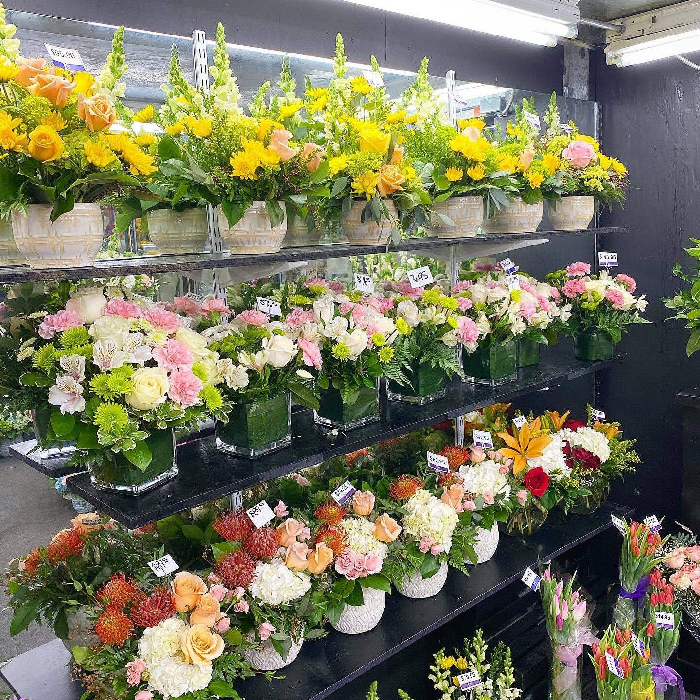 279720223_10158642268662747_522433274560721285_n